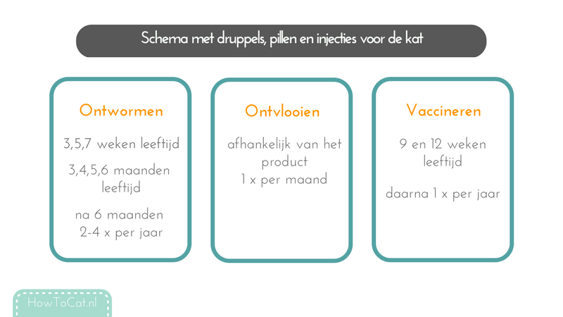 schema-ontwormen-ontvlooien-vaccineren-kitten